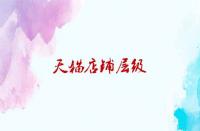 刷天貓店鋪層級(jí)的作用與技巧？
