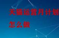 天貓運(yùn)營月計(jì)劃怎么做？