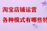 淘寶店鋪運營各種模式有哪些特點？