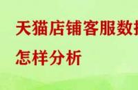 天貓店鋪客服數(shù)據(jù)怎樣分析？