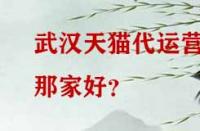 武漢天貓代運營那家好？