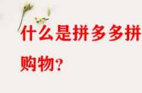 什么是拼多多拼單購物？