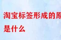 怎樣得到精準(zhǔn)流量？淘寶標(biāo)簽形成的原因是什么？