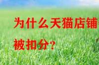 為什么天貓店鋪會(huì)被扣分？