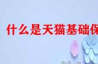 什么是天貓基礎(chǔ)保障？它的作用是什么？