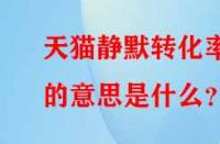 天貓靜默轉(zhuǎn)化率的意思是什么？
