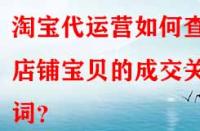 淘寶代運(yùn)營如何查看店鋪寶貝的成交關(guān)鍵詞？