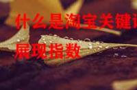 什么是淘寶關(guān)鍵詞展現(xiàn)指數(shù)？它的作用是什么？