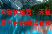 天貓代運(yùn)營(yíng)：天貓交易平臺(tái)的模式有哪些？