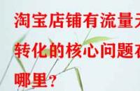 淘寶店鋪有流量無(wú)轉(zhuǎn)化的核心問(wèn)題在哪里？