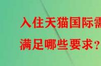 入住天貓國際需滿足哪些要求？