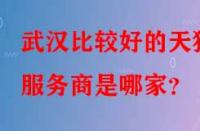 武漢比較好的天貓服務商是哪家？