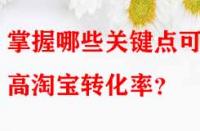 掌握哪些關(guān)鍵點可提高淘寶轉(zhuǎn)化率？
