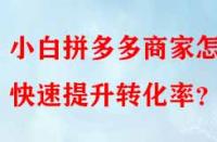 小白拼多多商家怎樣快速提升轉(zhuǎn)化率？