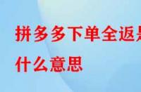 拼多多下單全返是什么意思？具體是如何操作的？