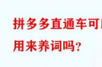 拼多多直通車可以用來養(yǎng)詞嗎？