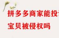 拼多多商家能投訴寶貝被侵權嗎？