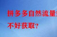 拼多多自然流量好不好獲??？