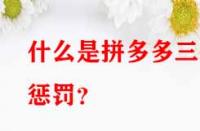 什么是拼多多三級(jí)懲罰？