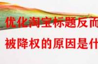 優(yōu)化淘寶標(biāo)題反而被降權(quán)的原因是什么？