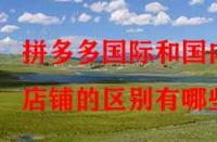 拼多多國際和國內店鋪的區(qū)別有哪些？