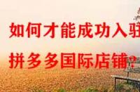 如何才能成功入駐拼多多國(guó)際店鋪？