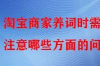 淘寶商家養(yǎng)詞時需注意哪些方面的問題？