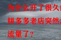 為什么開了很久的拼多多老店突然沒流量了？
