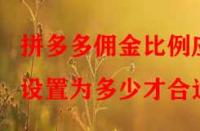 拼多多傭金比例應(yīng)設(shè)置為多少才合適？
