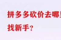拼多多砍價去哪里找新手？