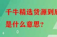 千牛精選貨源到底是什么意思？