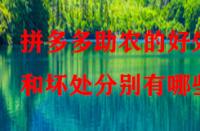 拼多多助農(nóng)的好處和壞處分別有哪些？