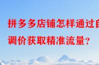 拼多多店鋪怎樣通過(guò)自動(dòng)調(diào)價(jià)獲取精準(zhǔn)流量？