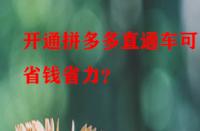 開(kāi)通拼多多直通車(chē)可更省錢(qián)省力？