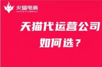 火蝠電商：什么樣的天貓代運營公司團隊才是你想要的？